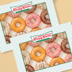 Assorted Ring 24 Pack